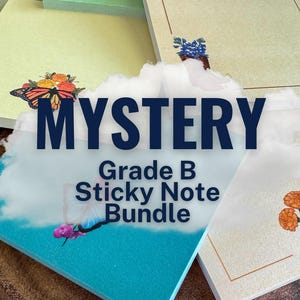 Grade B Mystery Sticky Note Bundle (Set of 3)