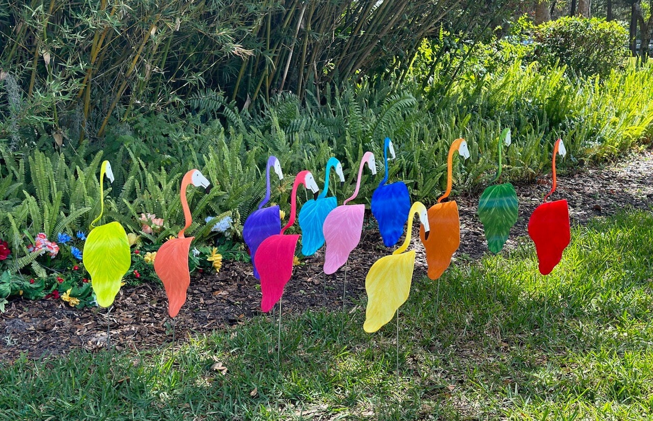 5 Large Bobbing Birds Pick Colors PVC Dancing Balancing Sculpture