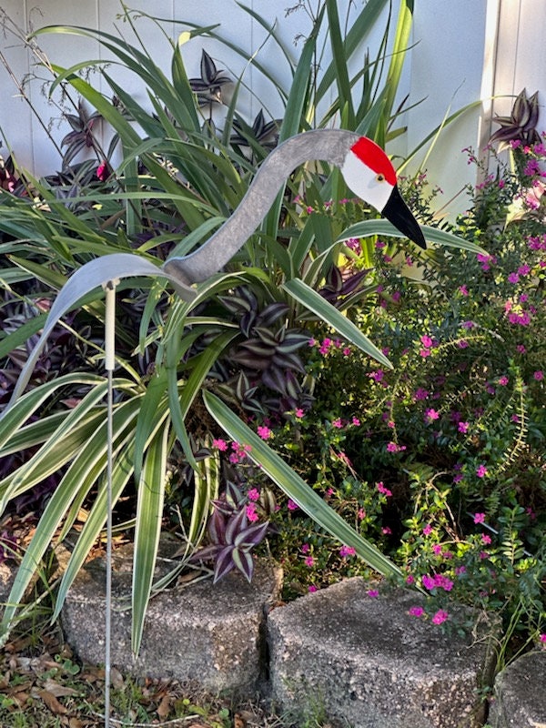 5 Large Bobbing Birds Pick Colors PVC Dancing Balancing Sculpture