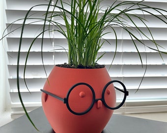 Unique Indoor Pot with a Face and Glasses: A Fun and Quirky Decorative Addition - Customizable Character - Home and Office Decor