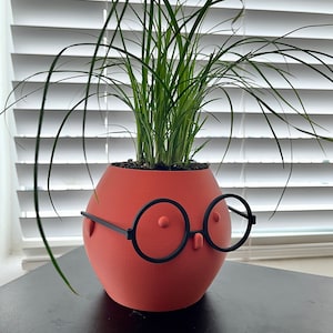May include: A red ceramic planter shaped like a face with black glasses and two small white dots for eyes. A green plant with long, thin leaves grows out of the top of the planter.