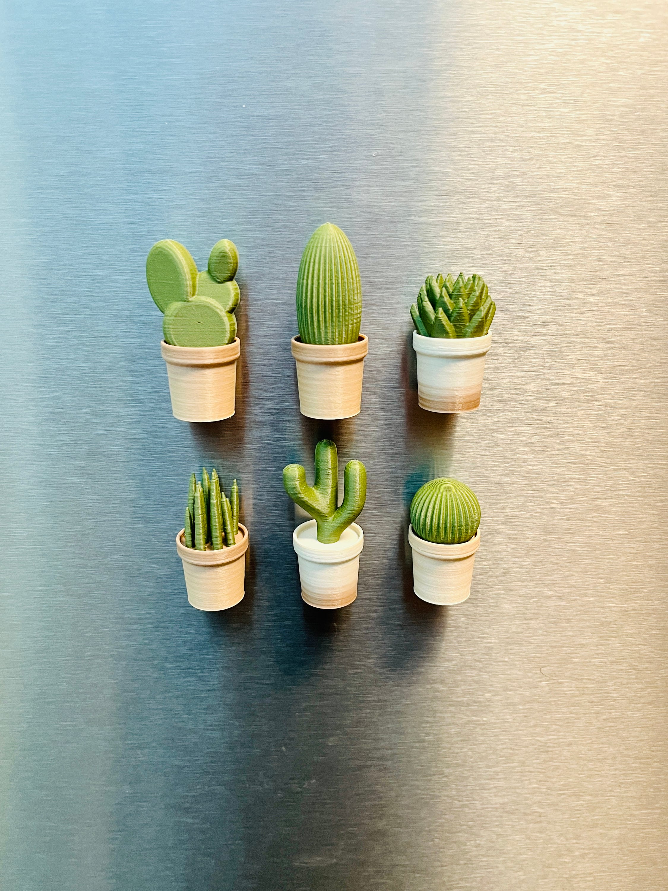 Buy 6 Small Cacti Fridge Magnets - 3D Printed Cacti Online in India - Etsy