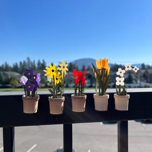 May include: Five small potted plants with colorful felt flowers. The plants are arranged in a row on a black metal railing. The flowers are purple, yellow, red, yellow, and white.