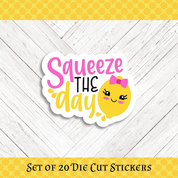 LEMON PUN Die Cut Stickers: Crafting, Happy Mail & Scrapbooking - Set of 20