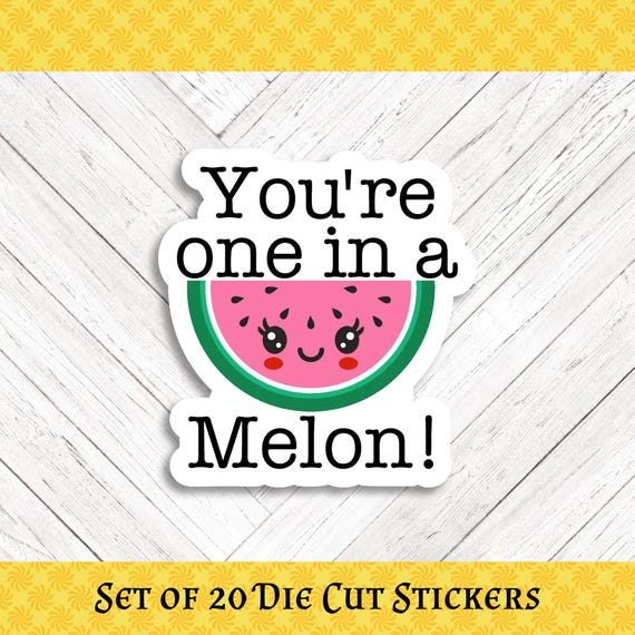 MELON PUN Die Cut Stickers: Crafting, Happy Mail & Scrapbooking - Set of 20