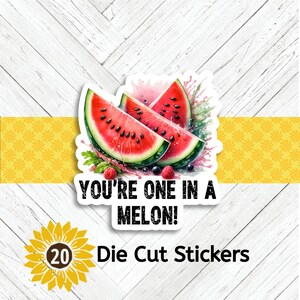 May include: Die-cut stickers featuring three watermelon slices with red flesh, black seeds, and green rinds. The text "YOU'RE ONE IN A MELON!" is below the watermelon. A sunflower graphic with the number 20 and the words "Die Cut Stickers" are also included.