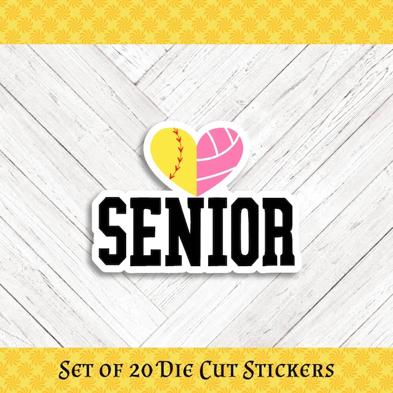 SOFTBALL/VOLLEYBALL Die Cut Stickers: Crafting, Happy Mail & Scrapbooking - Set of 20