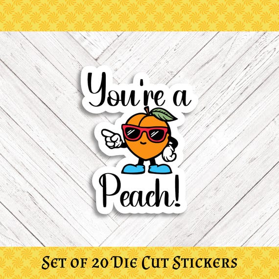 PEACH PUN Die Cut Stickers: Crafting, Happy Mail & Scrapbooking - Set of 20
