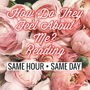 How do they feel? How do they feel about you, How do they feel about me same hour, How do they feel same day, How do they feel reading