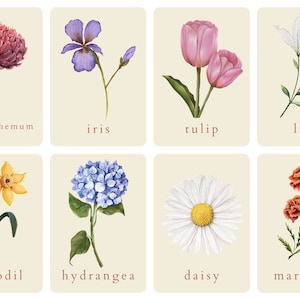 Homeschool Flower Flashcards (digital download)