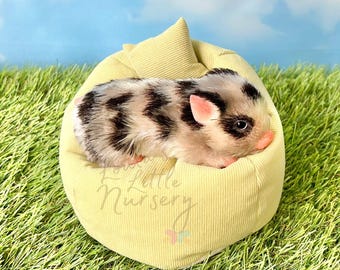 Mini sacco a pelo in silicone per animali - Accessori per la rinascita