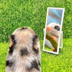 Silicone Animal Luxury Standing Mirror - NO ANIMAL INCLUDED - Reborn Accessories