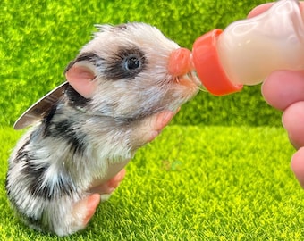 Silicone Animal Pretend Mini Bottle - Reborn Accessories