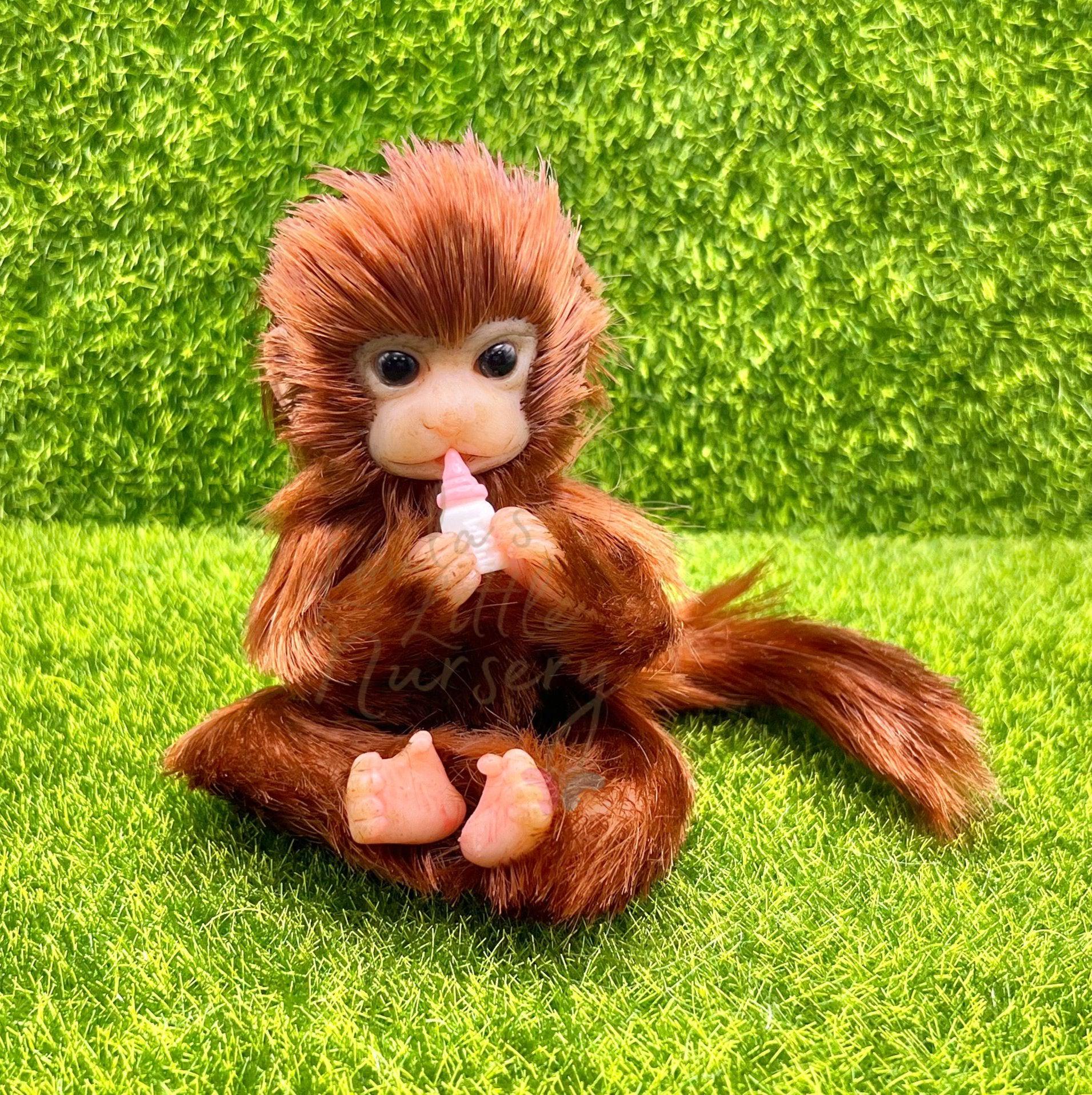 Mono aullador México