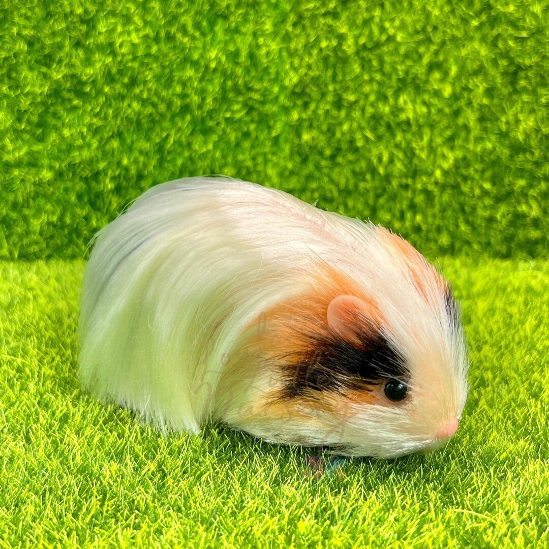 Loulas Little Nursery限定 トライカラー シルキー モルモット - リアルなシリコン製動物、赤ちゃん -  生まれ変わったシリコン製子豚 - Etsy 日本