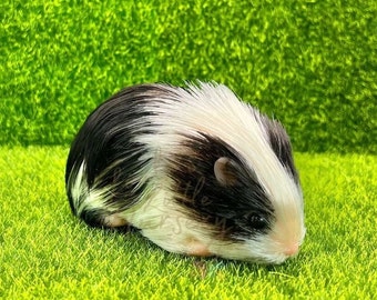 Loula's Little Nursery Exclusieve zwart-witte cavia - realistische siliconen dieren, baby's - herboren siliconen biggetje