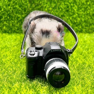 Può includere: Una macchina fotografica giocattolo nera con un obiettivo argentato e un cinturino nero. La macchina fotografica è tenuta da un peluche bianco e nero.