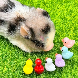 Silicone Animal Duck Friends Toy - NO ANIMAL INCLUDED - Reborn Accessories