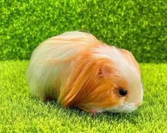 Loula's Little Nursery Exclusive Ginger & White Guinea Pig - Realistic Silicone Animals, Babies - Reborn Silicone Piglet