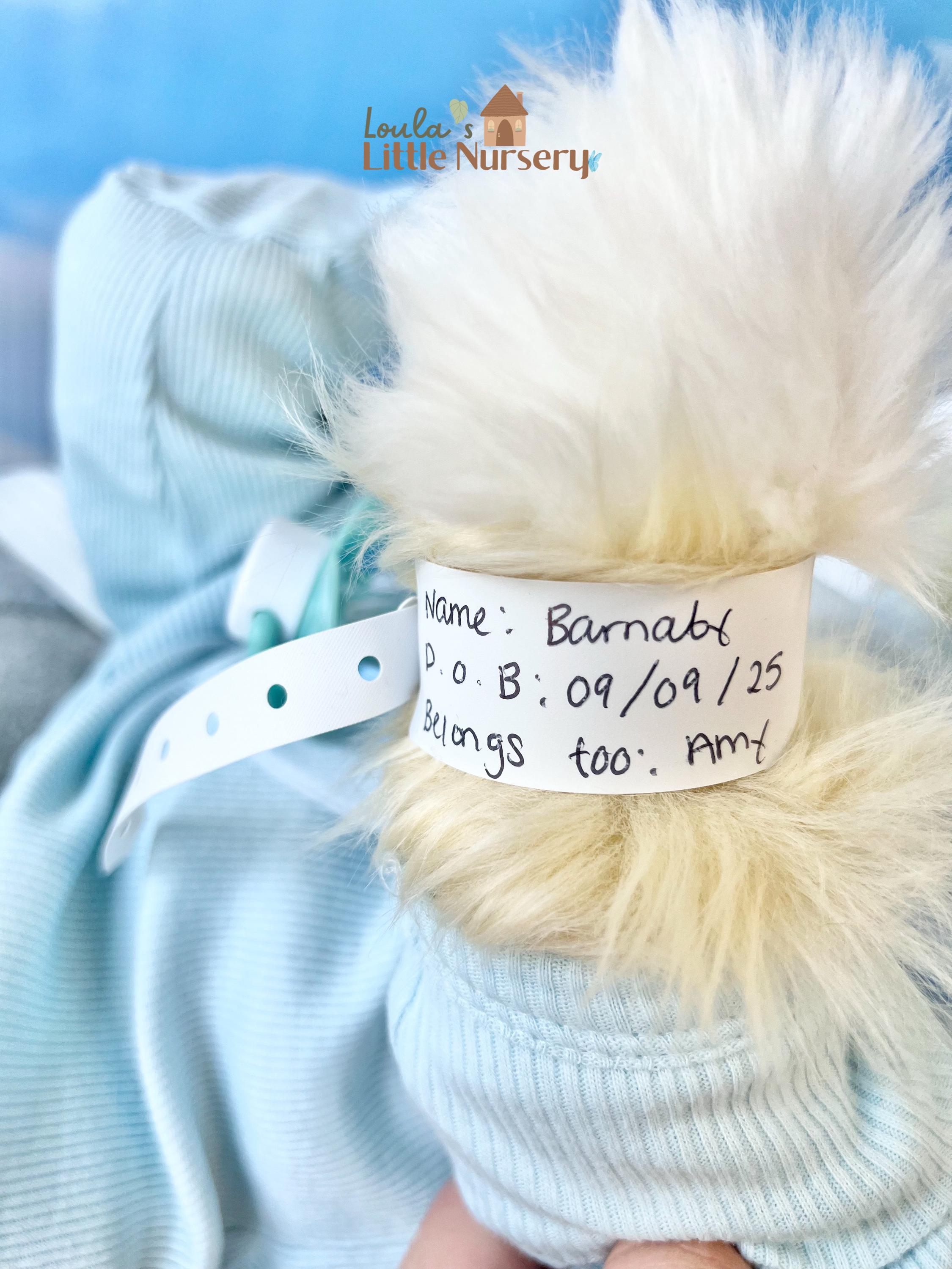 Runa - Cradle Cubs Collection® Baby Bear Limited Edition - Reborn Dolls ...