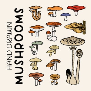 Hand Drawn Mushroom Vector Pack