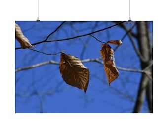 Autumn Leaf Photography Print: Minimalist Botanical Wall Art