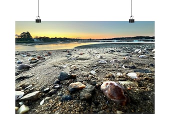 Seashells Sunset Beach Print: Coastal Nautical Wall Art