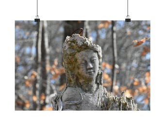 Ancient Calm: Wisdom Among the Trees