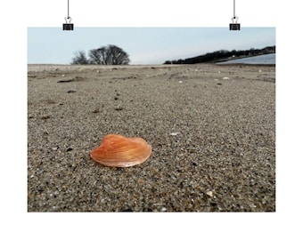 Seashell Beach Giclée Print, Coastal Home Decor, Nautical Wall Art