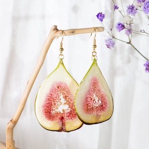 May include: A pair of gold earrings featuring a dried fig slice encased in resin. The earrings are a light green color with a pink center and are hanging from a gold hook.