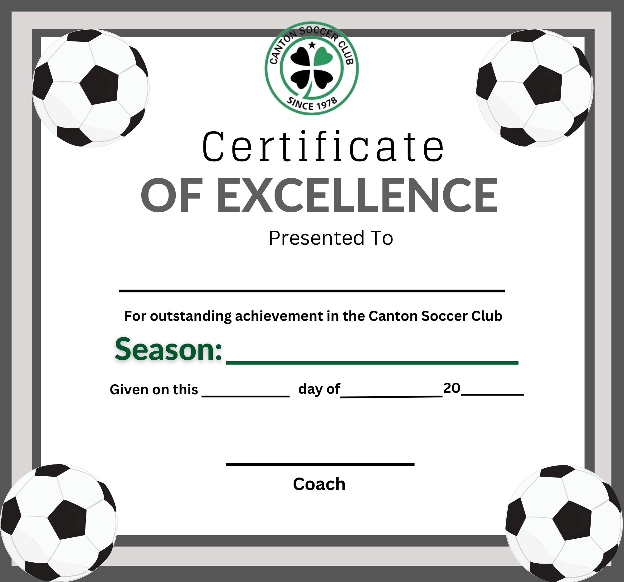 Editable Soccer Birthday Invitation Template, Soccer Birthday ...