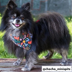 Pet bandana for dogs bandana for cats | Pet scarf | Accessories for pets products handkerchief neckwear