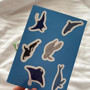 May include: A blue card featuring several marine animal stickers, including a manta ray, dolphin, and orca. The stickers are outlined in black and have a minimalist design. The card is held against a white background.