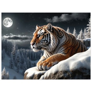 Siberian Tiger Poster,  Biggest Wild Cat Poster, Tiger Premium Matte Paper Poster