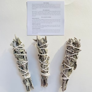 Sage Smudge Stick, White Sage, Smudge Sage Stick, Smudge Stick, Healing Herb, Energy Cleansing, Home Cleansing, Sage Incense, Bundle Incense