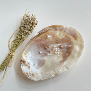 Pearly Sea Shell Incense Holder, Oyster Shell Incense Holder, Incense Burner, Jewelry Holder, Home Decor, Stand