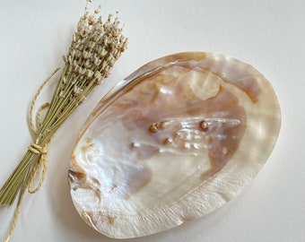 Pearly Sea Shell Incense Holder, Oyster Shell Incense Holder, Incense Burner, Jewelry Holder, Home Decor, Stand