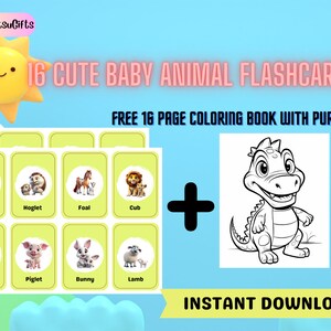 CUTE BABY ANIMAL 16 Flashcards For Kids, Montessori, Nomenclature Flashcards, Coloring Book, Printable, Learning Baby Animals, Gift For Kids