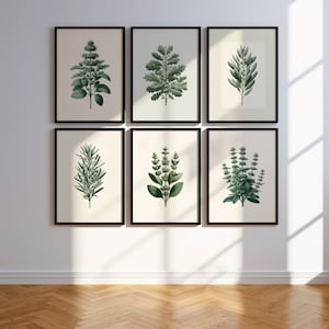 Plant Art Print / Kitchen Wall Art / Botanical Art Print SET / Kitchen Wall Art GALLERY / Herb Art Prints / Sage Green Wall Art.