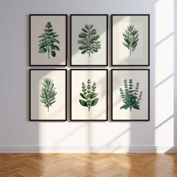 Plant Art Print / Kitchen Wall Art / Botanical Art Print SET / Kitchen Wall Art GALLERY / Herb Art Prints / Sage Green Wall Art.