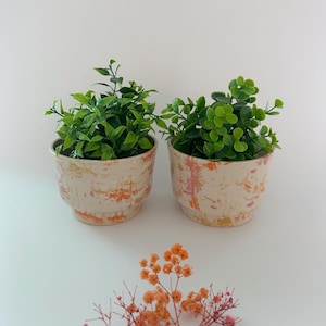 May include: Two small, decorative ceramic pots with green plants. The pots have a cream base with orange and pink marbling. A sprig of orange flowers is in the foreground. The pots are a charming addition to any home decor.