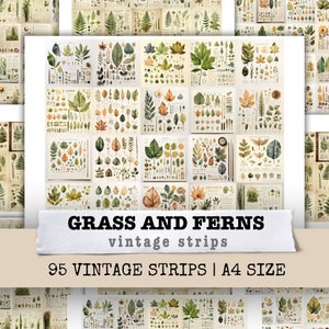 Grass and Ferns Vintage Strip Floral Flower Junk Journal Kit Paper Mixed Media Art Scrapbooking Page Collage Printable Digital Download