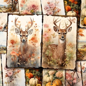 Autumn Fall Junk Journal Kit Digital Printable Junk Journal Country Western Farm Woodland Cottage Animal Pumpkin Collage Sheet Paper Pages