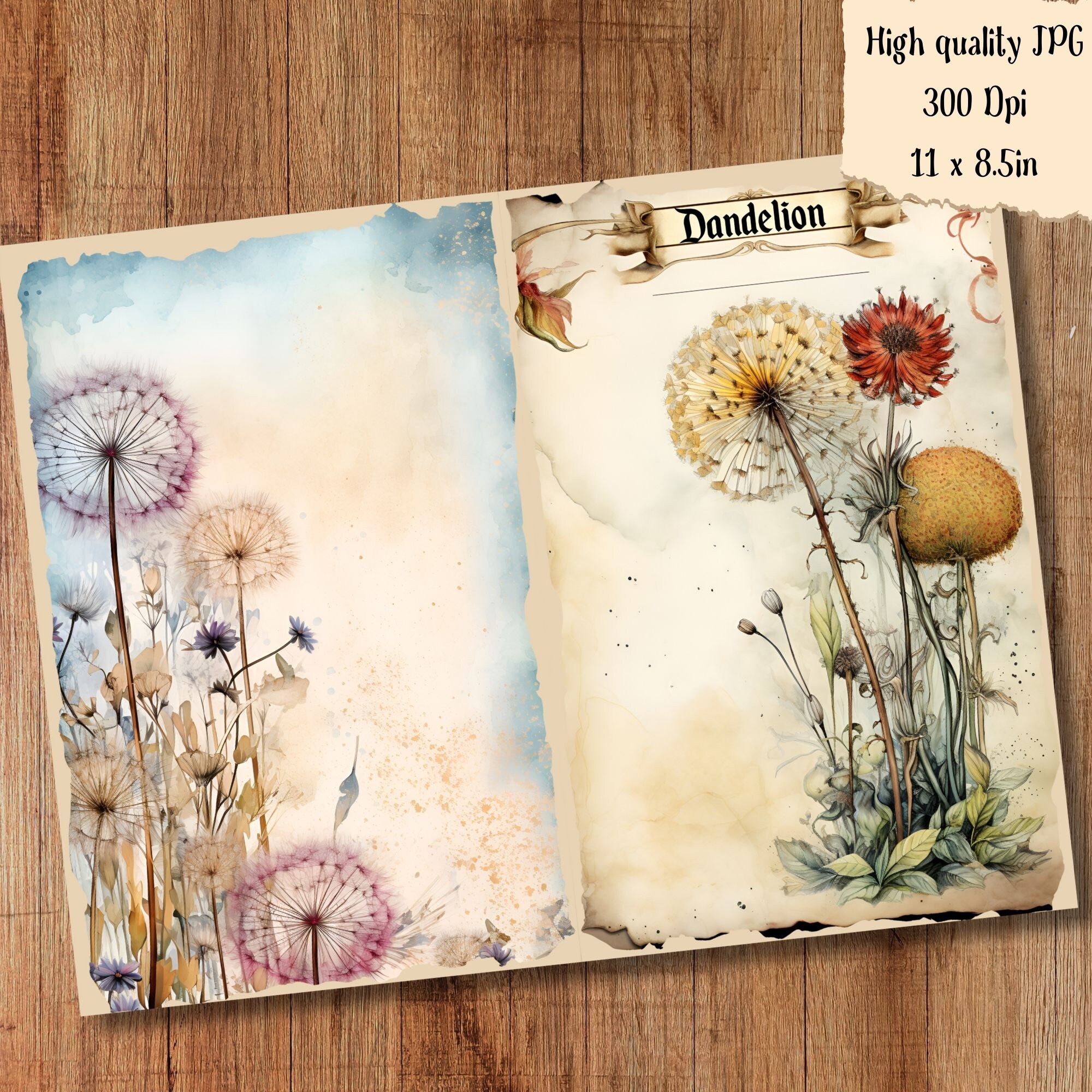 Shabby Flower Junk Journal Pages Dandelion Wildflower