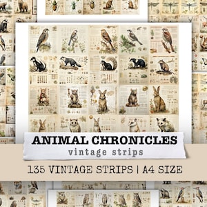 Tier Chroniken Vintage Streifen Junk Journal Kit Papier Mixed Media Kunst Scrapbooking Seite Collage Sheet Printable Digital Download