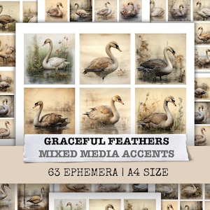 Plumes gracieuses cygne Nature indésirable Journal kit fond papier technique mixte Scrapbooking Page Collage feuille imprimable téléchargement numérique