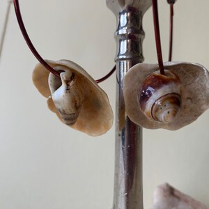 Shell Hoop (Med)