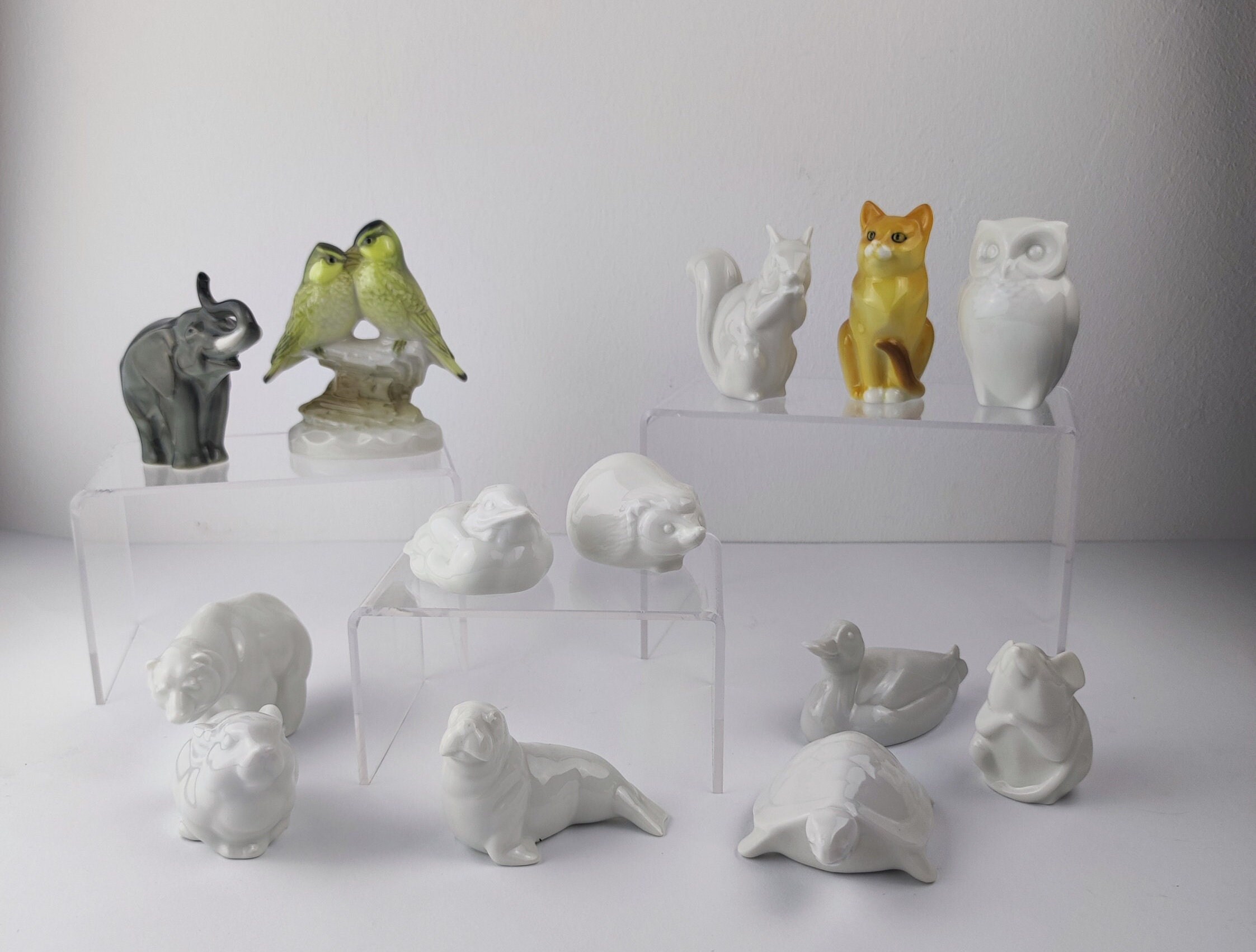 フッチェンロイター カワカマス グンター・グランゲットデザイン 魚