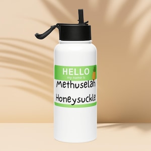 Psych Gus nickname Stainless steel water bottle with a straw lid