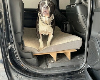 May include: A black and white dog sits on a wooden platform in the back of a black truck. The dog is looking directly at the camera.